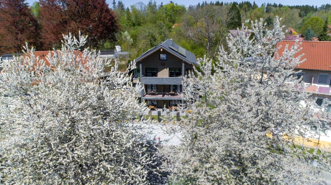 Invita Natur-Chalets Penthouse - Familienurlaub Im Schwarzwald - 240Qm Bad Dürrheim Eksteriør bilde